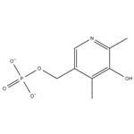 8059-24-3 Vitamin B6