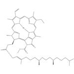 	Chlorophyll A pictures