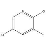 	2,5-DICHLORO-3-PICOLINE pictures