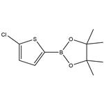 5-CHLOROTHIOPHENE-2-BORONIC ACID PINACOL ESTER pictures