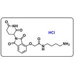 Thalidomide-O-amido-C4-NH2 hydrochloride pictures