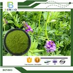 Organic Alfalfa Juice Powder pictures