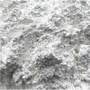 Shell powder coating Shell powder feed Add high whiteness high calcium calcined food