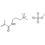 METHACRYLOYLAMINOPROPYLTRIMETHYLAMMONIUM METHYL SULFATE pictures