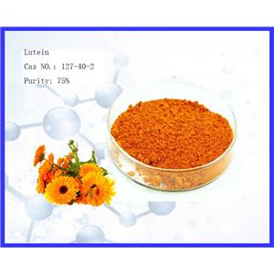 Marigold flower extract-Lutein Powder Comestic Grade For Improve Eye Health