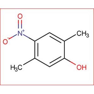 2,5-DIMETHYL-4-NITROANILINE