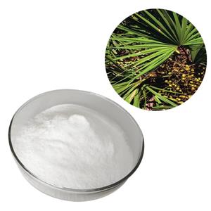 Saw Palmetto Fruit Extract 45% fatty acids