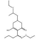 74051-80-2 	Sethoxydim