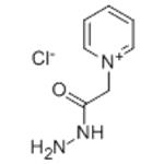 GIRARD'S REAGENT P pictures