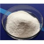 1309-48-4 Magnesium Oxide