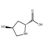 3398-22-9 trans-4-Hydroxy-D-proline