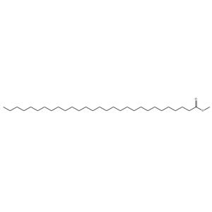 METHYL NONACOSANOATE