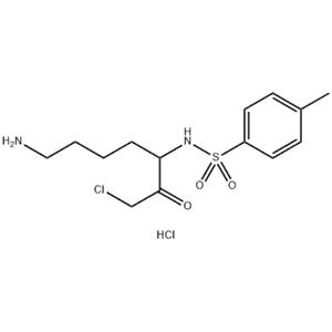 TLCK (Tosyl-L-lysyl-chloromethane hydrochloride)