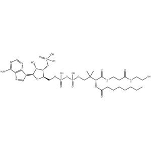 Octanoyl coenzyme A