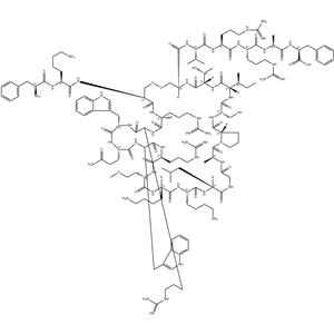 Lactoferrin