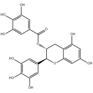 Gallocatechin gallate