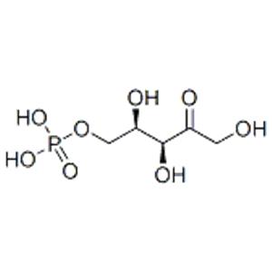 D-xylulose 5-phosphate