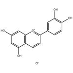 LUTEOLINIDIN CHLORIDE pictures