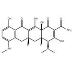 7-Monodemethyl Minocycline pictures