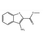 METHYL 3-AMINOBENZO[B]THIOPHENE-2-CARBOXYLATE pictures