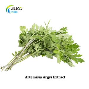 Artemisia Argyi Extract