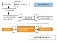 基因转染试剂