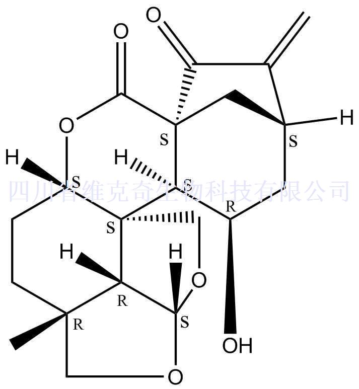 黄花香茶菜甲素