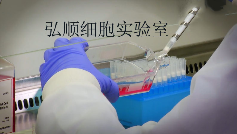 NCI-H1437 Cell<人非小细胞肺癌细胞系>