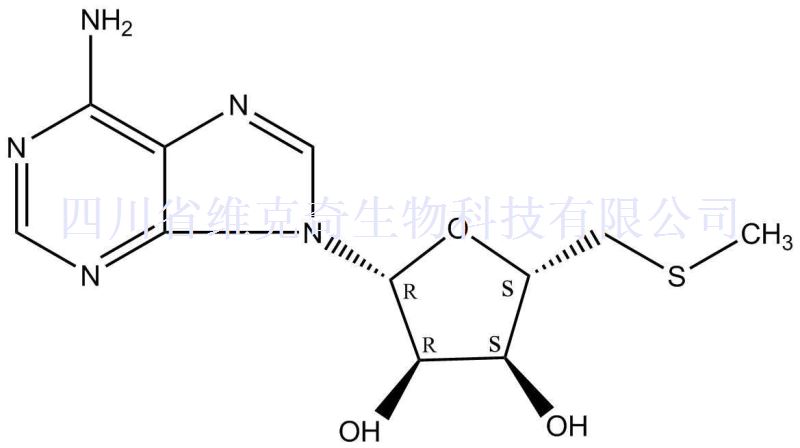 甲硫腺苷