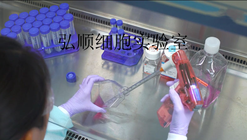 QGY-7703 Cells：人肝癌细胞系