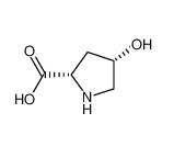 L-羟基脯氨酸