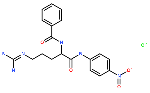 Na-苯甲酰-DL-精氨酸-对硝基酰胺盐酸盐