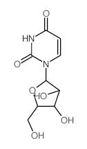 阿糖尿苷