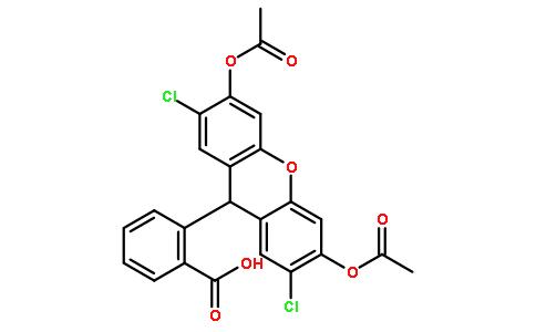 2',7'-二氯荧光素二乙酸酯