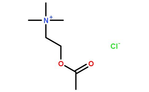 氯化乙酰胆碱