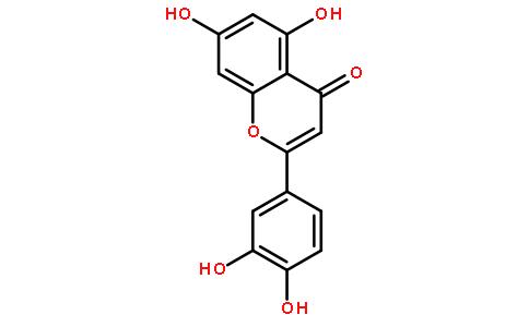 木犀草素