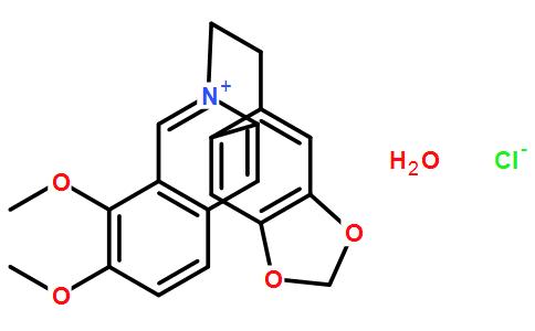 盐酸黄连素水合物