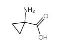 1-氨基环丙烷羧酸