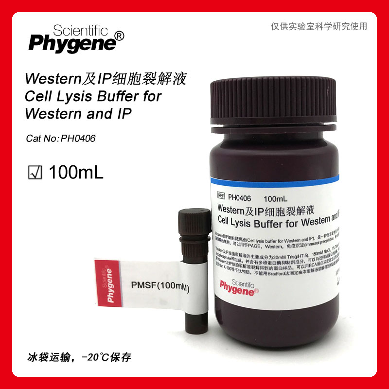 Western及IP细胞裂解液