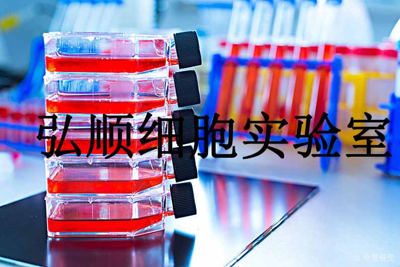 NCI-H716 Cells|人结直肠腺癌贴壁细胞