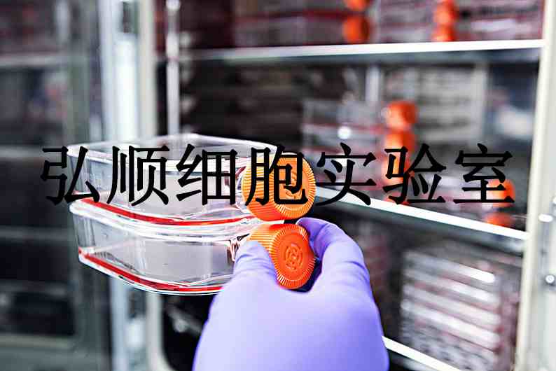 MDA-MB-134-VI Cells|人乳腺导管癌贴壁细胞