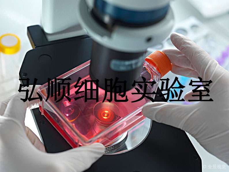 NCI-H1299 Cells|人非小细胞肺癌贴壁细胞