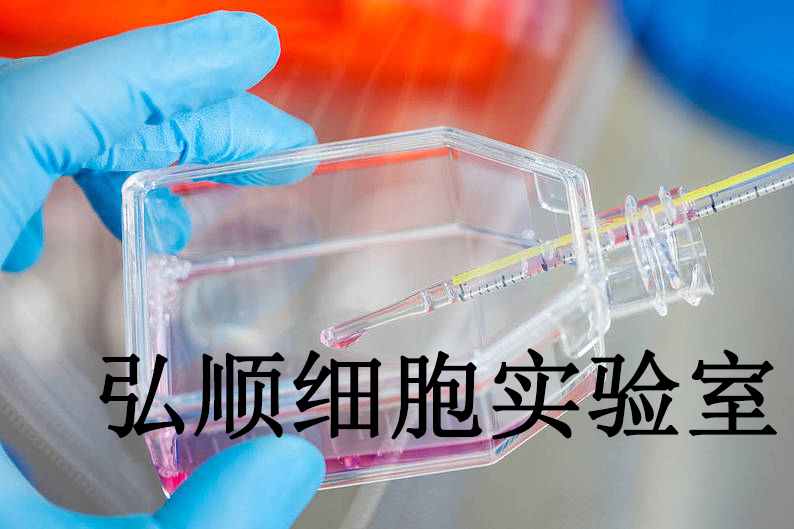 NCI-H345 Cells|人小细胞肺癌贴壁细胞