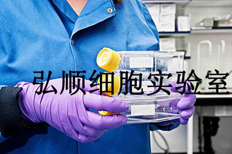 SC Cells|人急性单核细胞白血病传代细胞