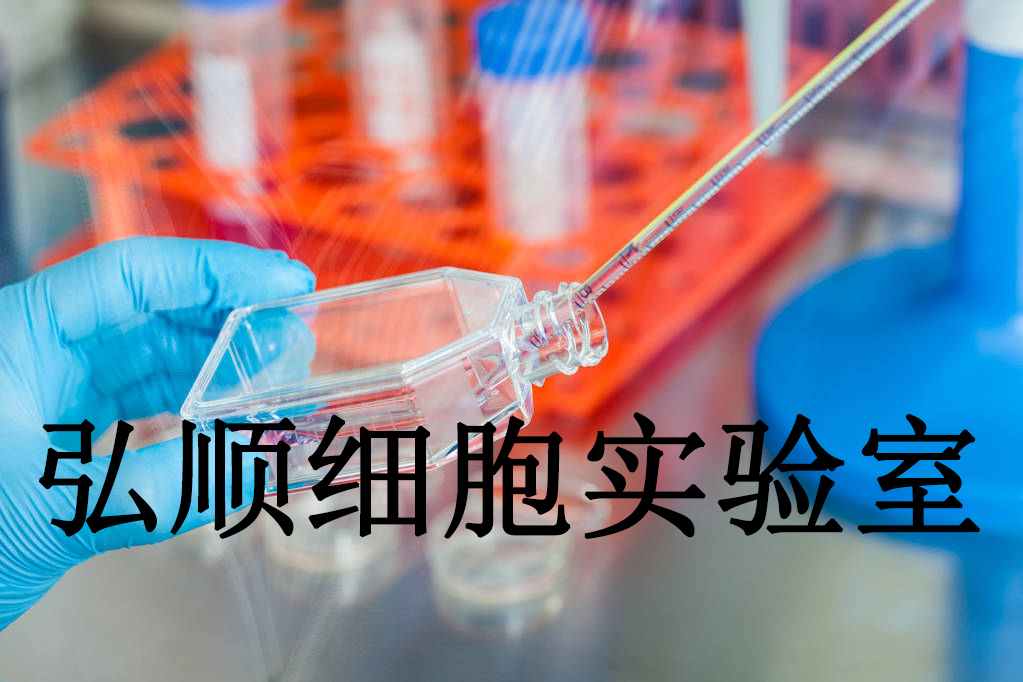 CEMO-1 Cells|人急性B淋巴细胞白血病悬浮细胞