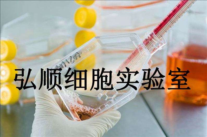 CC-LP-1 Cells|人胆管癌贴壁细胞