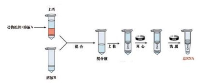 mRNA 纯化试剂盒