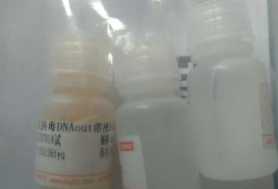 RNase-free Tris-HCl溶液，1M，pH8.5