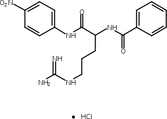 Na-苯甲酰-DL-精氨酸-对硝基酰胺盐酸盐