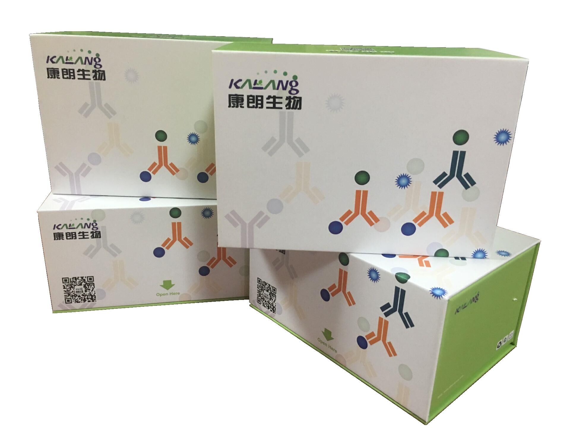 人促卵泡生成素酶联免疫试剂盒